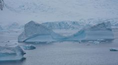 ice