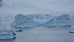 ice