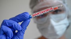 Hantavirus
