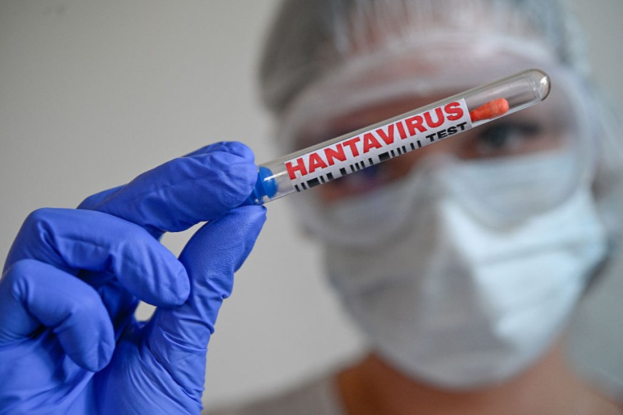 Hantavirus