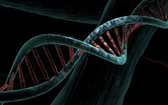 Genetics