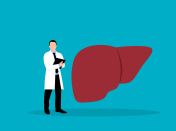 Liver