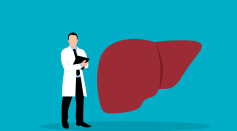 Liver