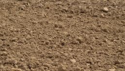 Soil