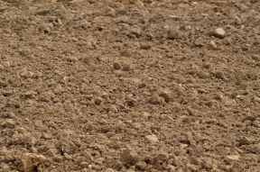 Soil