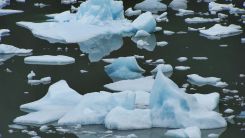 antarctica