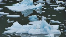 antarctica