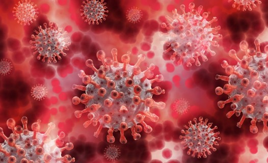 Virus