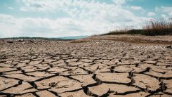drought