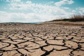drought
