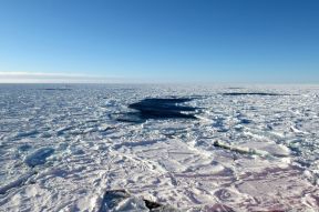 antarctica