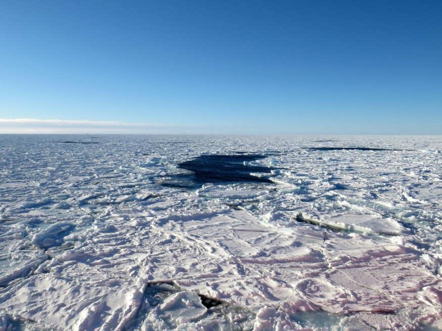 antarctica