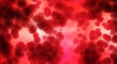 Blood Flow
