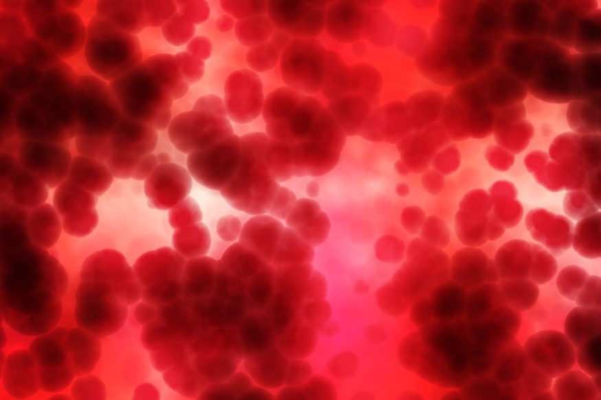 Blood Flow