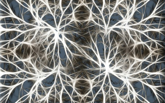Brain