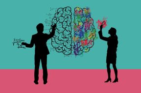 Brain