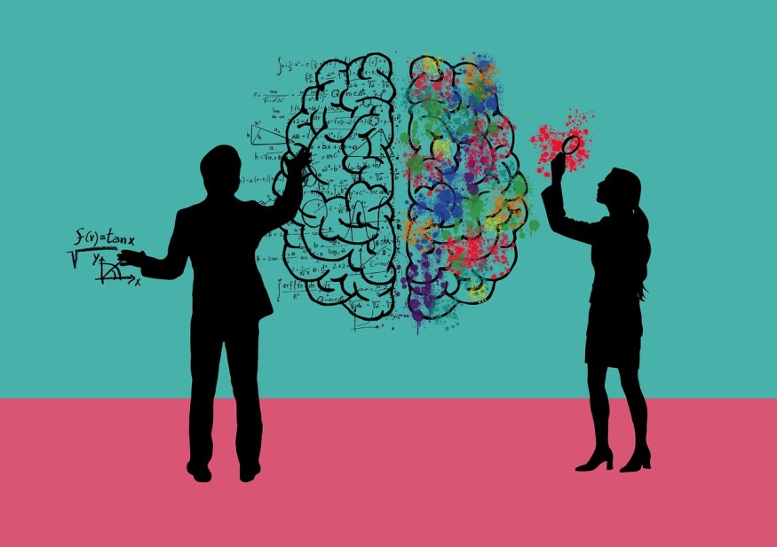 Brain