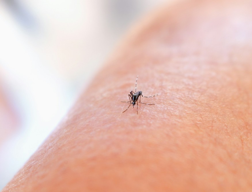 West Nile Is Back in Texas