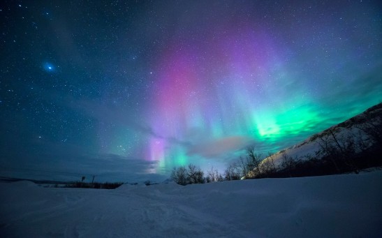 Northern Lights Alert