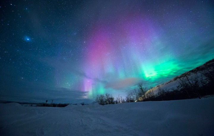 Northern Lights Alert