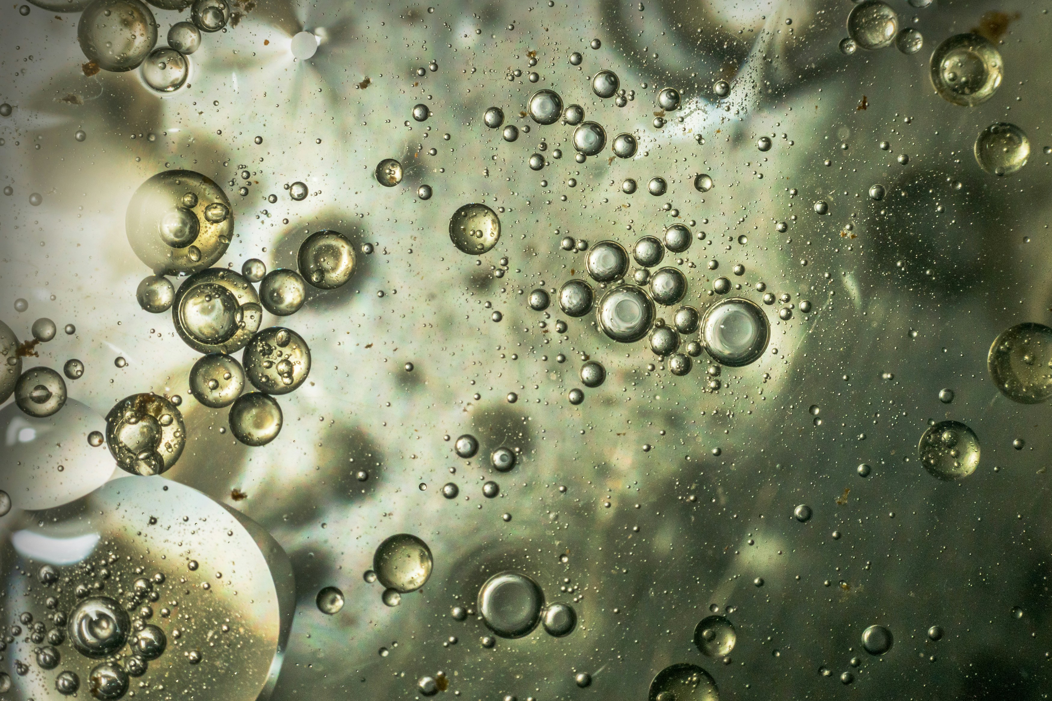 Why Oil and Water Don't Mix? The Simple Science Behind Polarity Explained