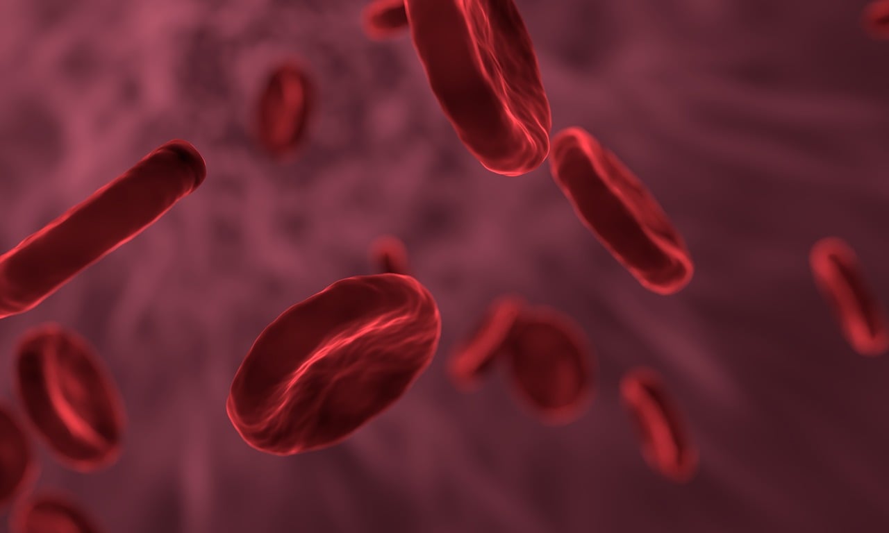 How Blood Clotting Turns a Small Cut Into a Controlled Repair Process