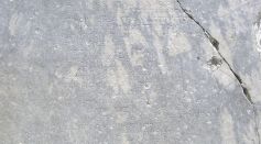 Pythia removes the burden of deciphering inscriptions from historians and epigraphists, widens their scope of study and lets them focus on the more substantial study of the deciphered text.