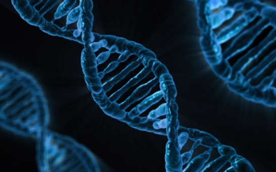 genes