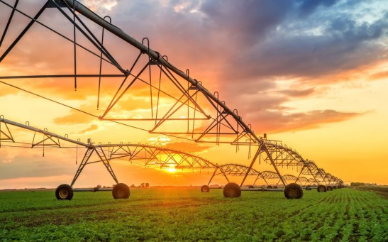 Daniel Kunin Kusto Group Leadership