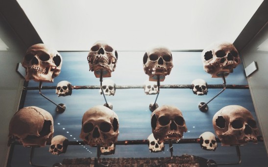 skulls for sale on facebook