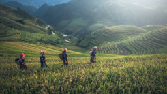 Researchers Offer Solutions That Tackle Climate Change, Land Degradation and Food Security Simultaneously