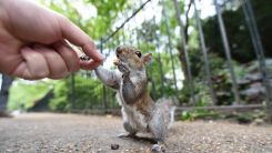 The Bubonic Plague is Now in Colorado, Health Officials Warn