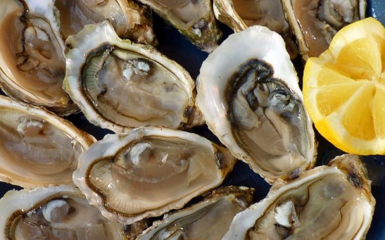 Love Shellfish? New Study Suggests Oysters Might Contain Bacteria, Plastics and Baby Formula