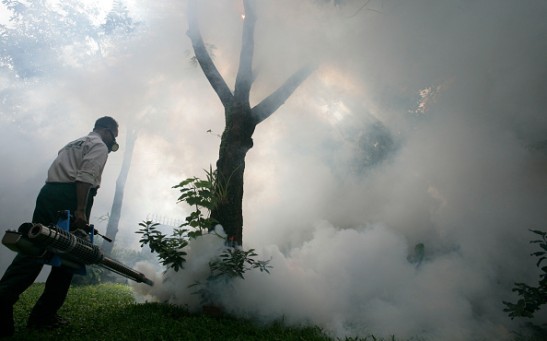 Outbreak Hits Jakarta