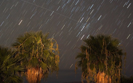 Science Times - The Perseid Meteor Shower's Peak is Just Days Away!