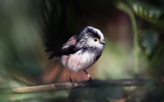 Spring Weather Arrives In The UK