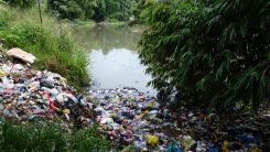 Microplastics Are Found in Internal Organs