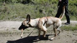 U.S. Customs And Border Patrol Monitor Canadian Border