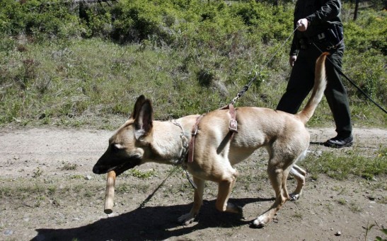 U.S. Customs And Border Patrol Monitor Canadian Border