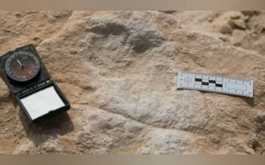 Human Footprints From 120,000 Years Ago Discovered in the Arabian Peninsula