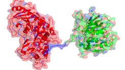 Unique Enzyme Combination May Help Reduce Global Plastic Waste