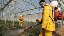 Common Insecticide Imidacloprid Harms Beneficial Insects
