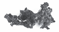 Mount Vesuvius Victim's Brain Cells Perfectly Preserved in Glass Remnants
