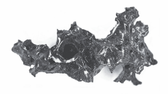 Mount Vesuvius Victim's Brain Cells Perfectly Preserved in Glass Remnants