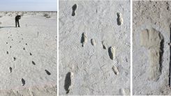 Ancient Footprints Tells a Story of A Parent and Child Making a Daring Journey