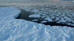 Global Warming Imapcts On Australian Antarctic Territory