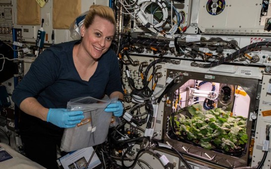 Growing Plants In Space: Astronauts Eats First Radish Grown in Space