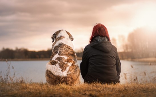 Science Times - 3 Ways to Help Pets Overcome Separation Anxiety