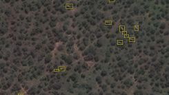 Scientists Counted Elephants From Space Using Satellite Cameras