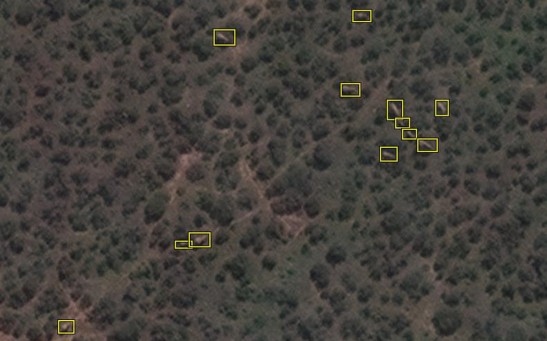 Scientists Counted Elephants From Space Using Satellite Cameras